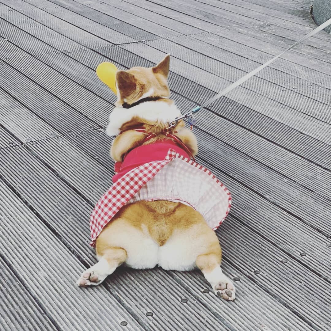 ニーナ