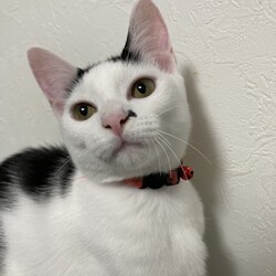 まつりさん、皆んなと同じ様に育っていく
