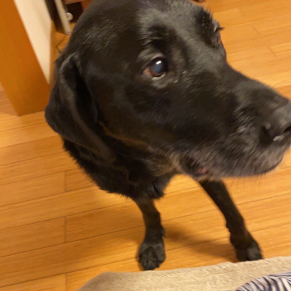 ゼロのカバー写真