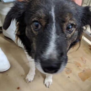 センターに収容され14日の朝までが期限です