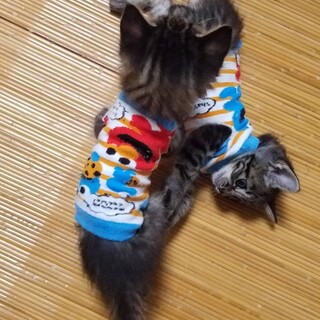 生後1か月　コロコロ　人が大好き男の子