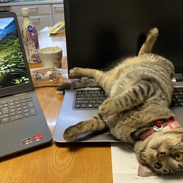 仕事できるもんなら　やってみるがいいw