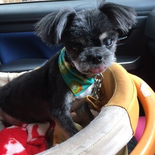 癖のある可愛さ　リキくん