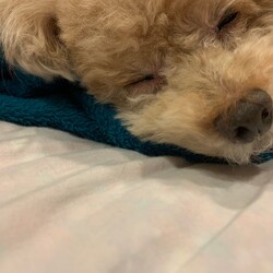 はじめまして((●ﾟνﾟ)