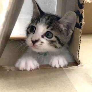 離乳中☆甘えん坊な男の子