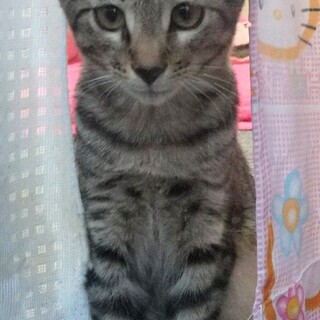 可愛い赤ちゃんです