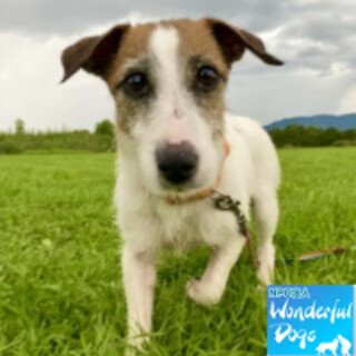 「rire（リア）」♀