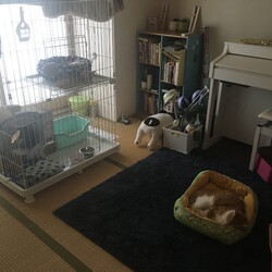 「家族が増えました」サムネイル1