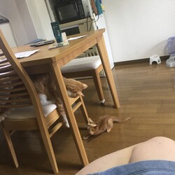 「家族が増えました」サムネイル2