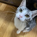 可愛がって下さる里親様、募集中です！