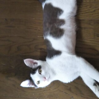 4月生まれ、人懐っこい男の子