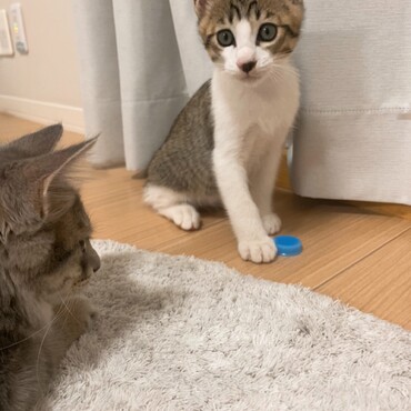 の写真