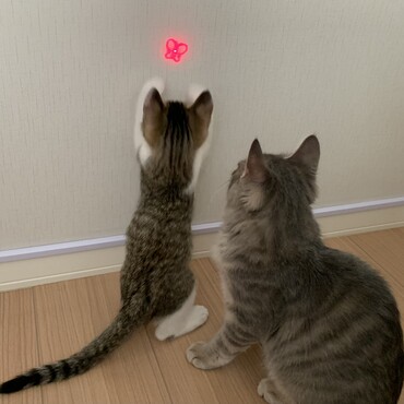 の写真