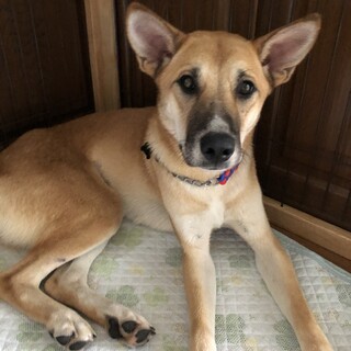 「ちぇりん」女の子