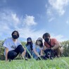 アオクレみゆ
