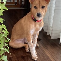 そら