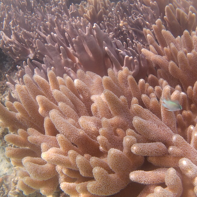 とみたりんのカバー写真