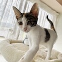 生後4ヶ月です⭐︎