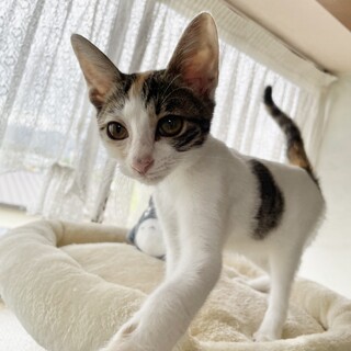 生後4ヶ月です⭐︎