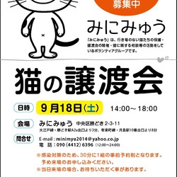 みにみゅう 猫の譲渡会