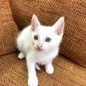 里親さま決まりました☆