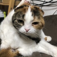 まる