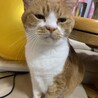 あやか719