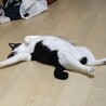 まも71
