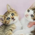 アイラインくっきり★なかよし兄妹★