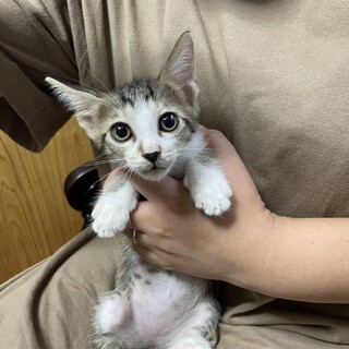 おかげさまでステキな里親さんが見つかりました☆