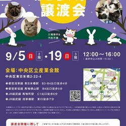ねこざんまい譲渡会＠東日本橋