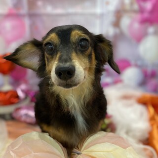 幸せみつかりました！