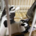 強運の持ち主仲良し兄弟
