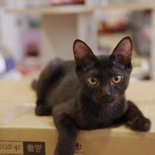 オソノ♂️(キキちゃんと一緒に♪)