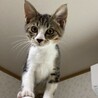 元気いっぱいの ぎゅう君 サムネイル2