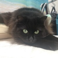 ひゅーじ