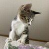 元気いっぱいの ぎゅう君 サムネイル5
