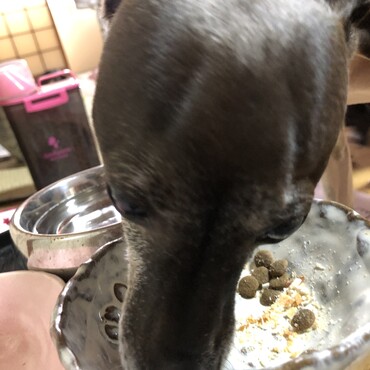 夕食