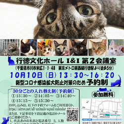 【千葉県市川市】イコール保護猫譲渡会vol.10