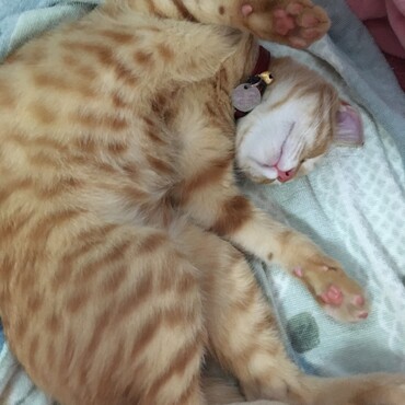 の写真
