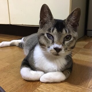 鼻チュー大好き甘えん坊♪10ヶ月齢