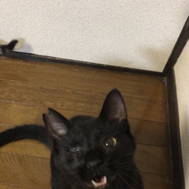 マサムネの写真