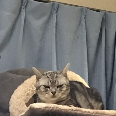 寝顔