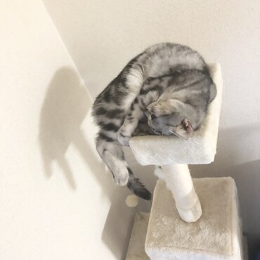 丸くなる