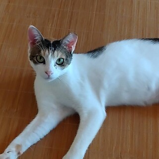 げんたくん命！〝美美ちゃん〟です