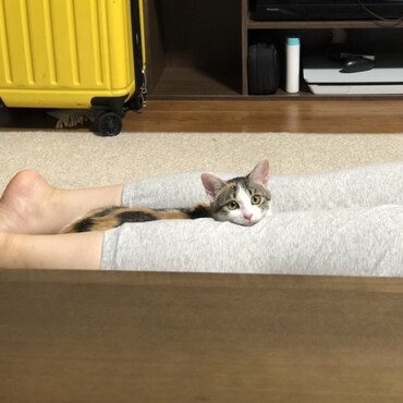 の写真