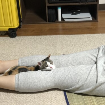 の写真