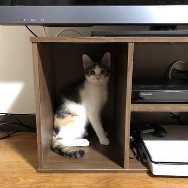 の写真