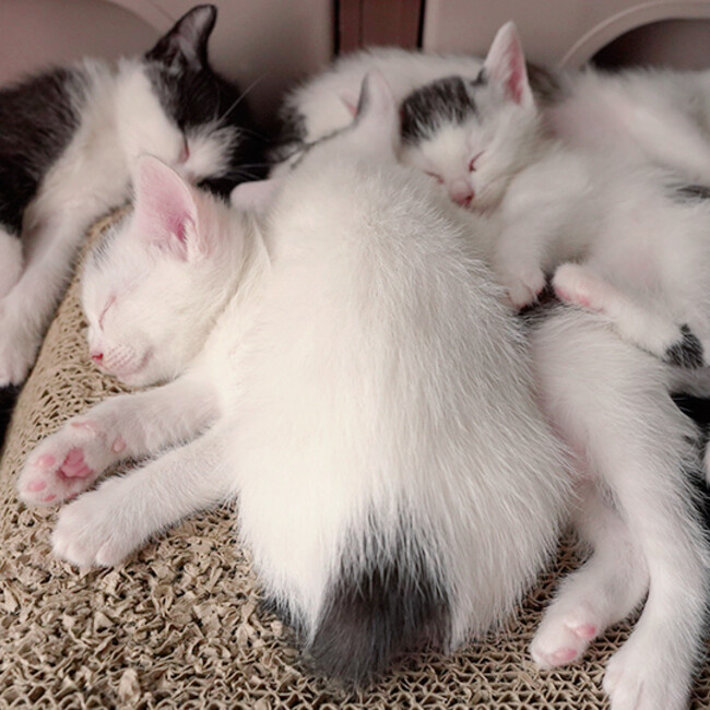 aki_huyuのカバー写真