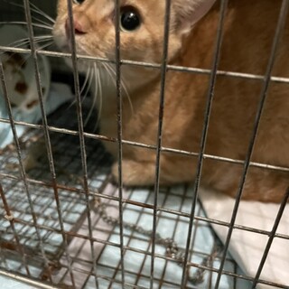 9／18リターンするまでの間での募集です